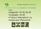 Circulation Astragalus Membranaceus Extract 10% Astragaloside IV Brown Powder